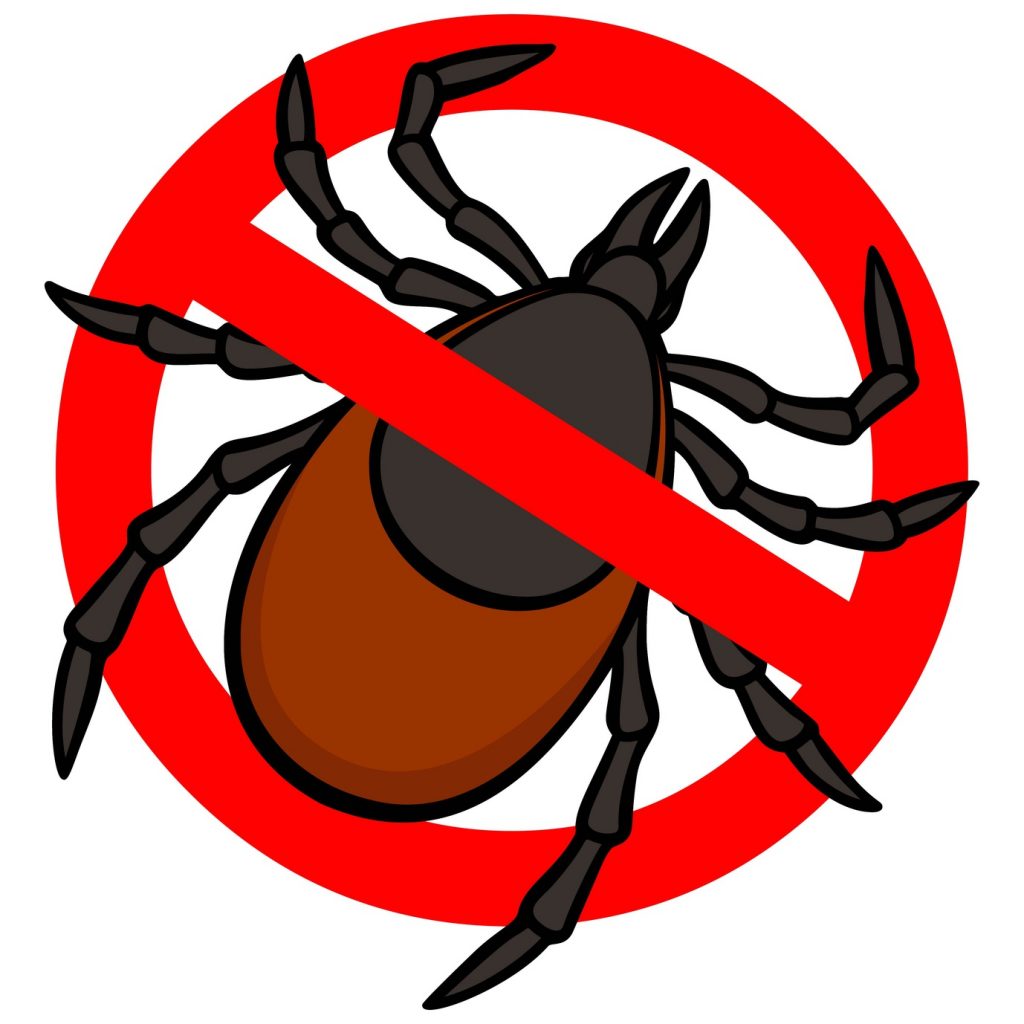 Nie daj się kleszczom!